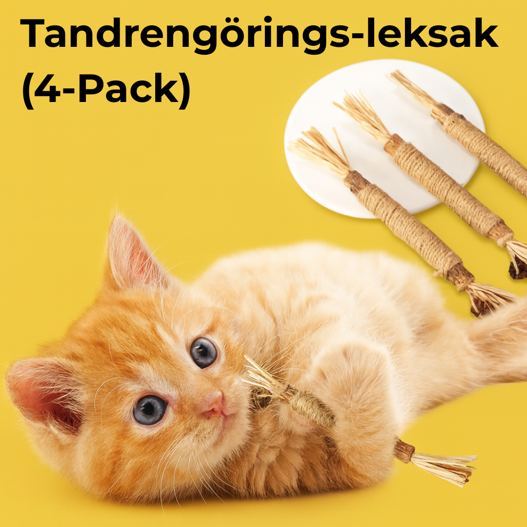 Tandrengörings-leksak (4-Pack)