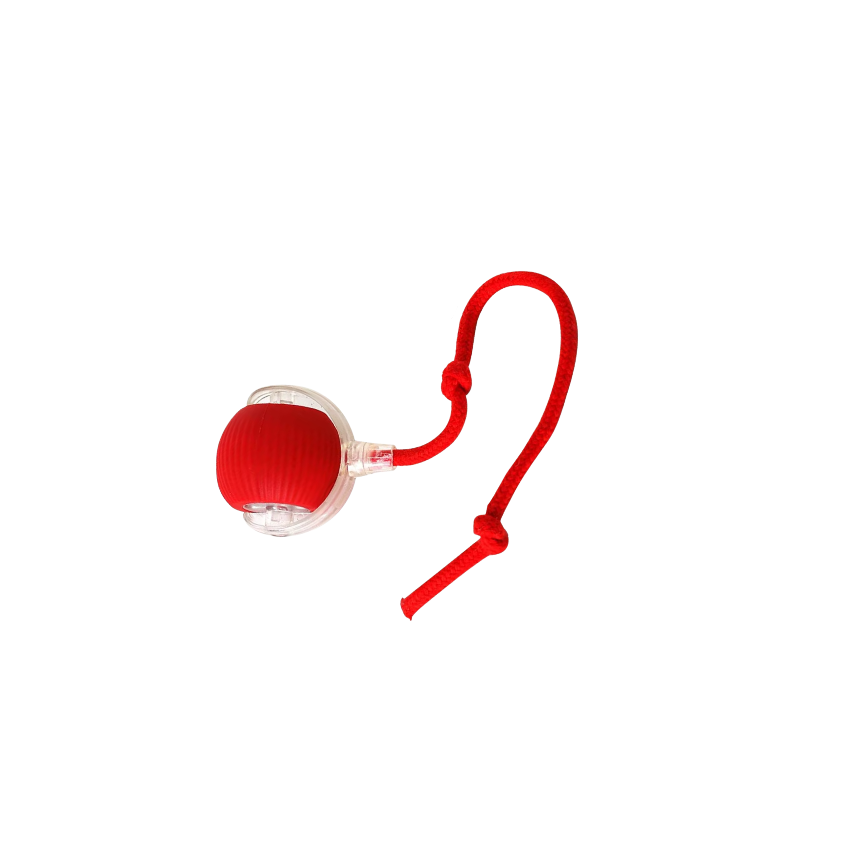 Interaktiv katt boll