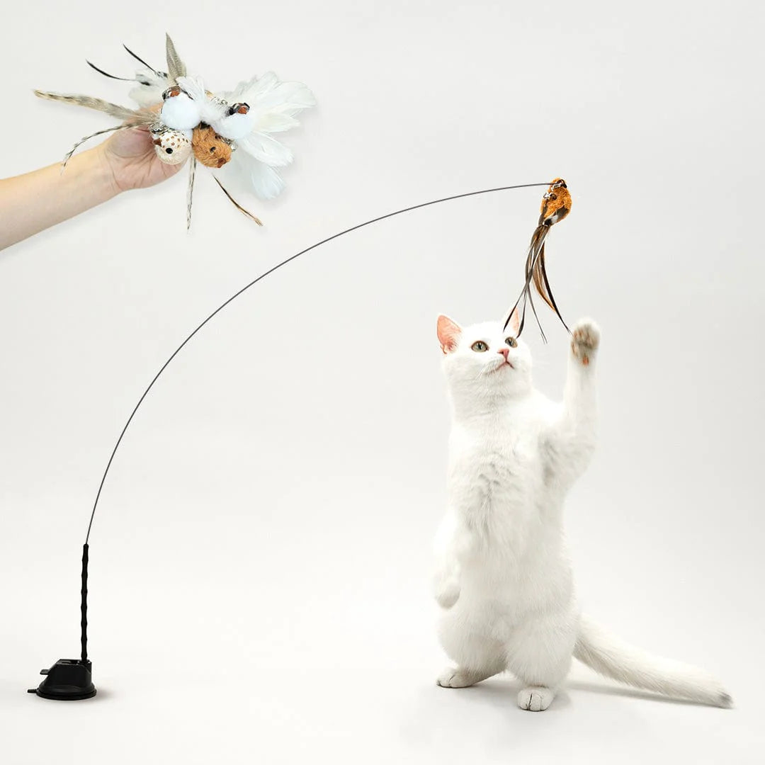 Interaktivt Fågelleksaksset™